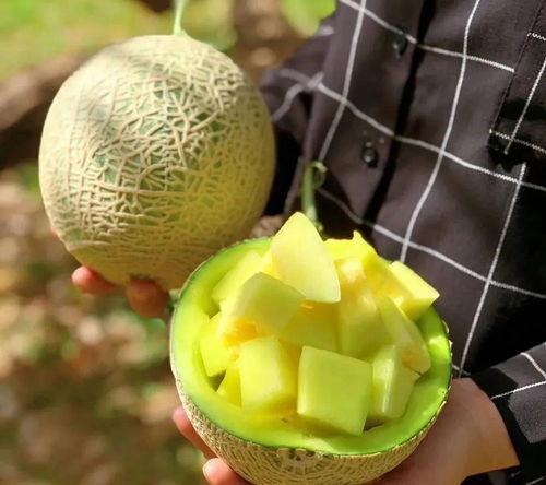 今日吃瓜超级无敌,超级无敌大事件盘点