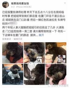 明星网红偷狗贼图片,明星形象崩塌，道德底线何在？