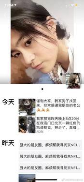 明星网红偷狗贼图片,明星形象崩塌，道德底线何在？