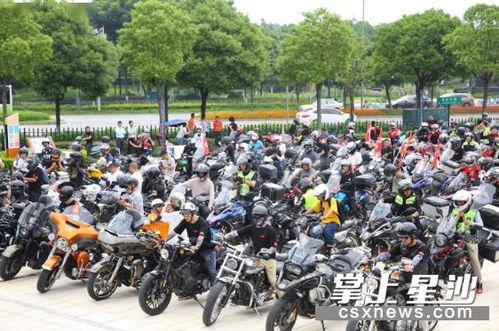 明星网红骑摩托炸街,明星风采与街头文化的碰撞