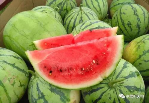 今日国内实时吃瓜