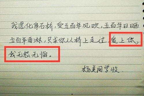 明星网红评价语怎么写,热度背后的真实评价