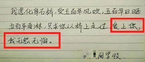 明星网红评价语怎么写,热度背后的真实评价