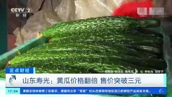 今日瓜价寿光,寿光今日瓜价行情一览