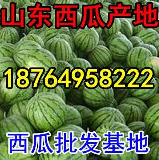 今日瓜价寿光,寿光今日瓜价行情一览