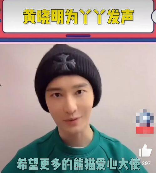 明星网红为熊猫丫丫发声,明星网红助力保护国宝熊猫