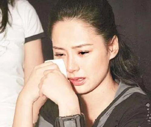 吃瓜明星网红圈道歉,反思与成长之路