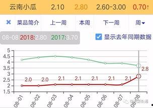 今日小瓜价位走势图表,今日走势图表深度解析