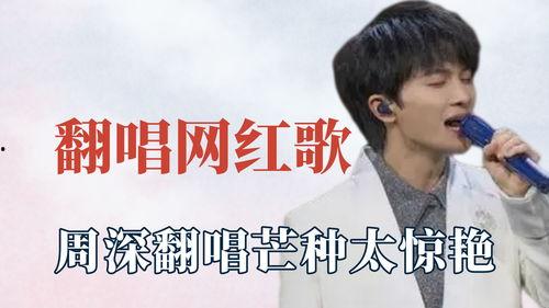 明星网红歌曲有哪些歌