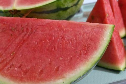 扁瓜今日价格行情最新