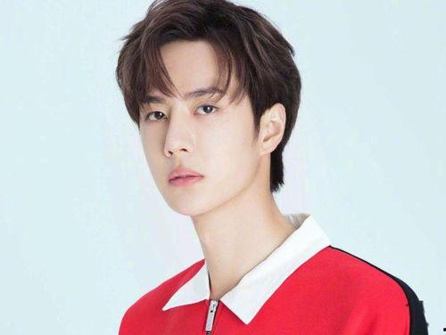 明星网红爬泰山是谁