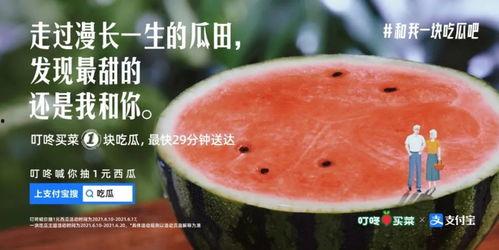 今日吃瓜文案怎么写啊,娱乐圈幕后故事一网打尽