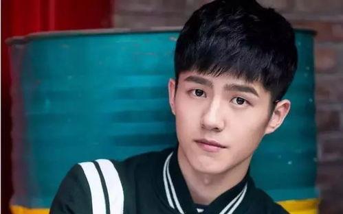 憨小六明星网红挑战,趣味互动引爆网络热潮