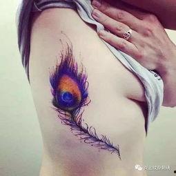 明星网红羽毛纹身图案女