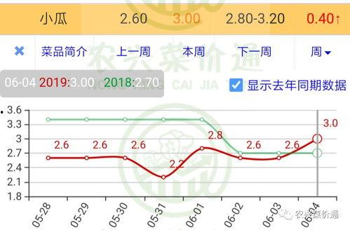 小圆瓜今日价格行情走势,今日行情走势解析