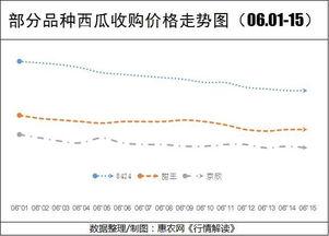 今日兰瓜价格行情最新走势,最新行情解析与趋势展望
