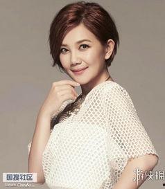 广东的明星网红有谁啊,璀璨星光下的网络新势力