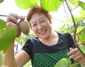 今日徐闻瓜菜行情如何了