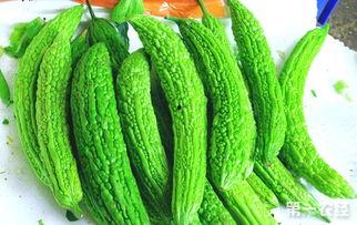 今日凉瓜价钱最新行情,价格波动解析