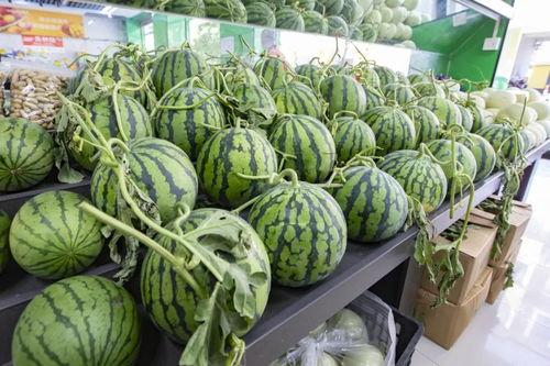 次瓜西瓜今日价格,次瓜西瓜行情一览”