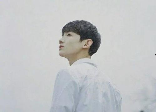 明星网红景点高科技,网红景点明星打卡新潮流