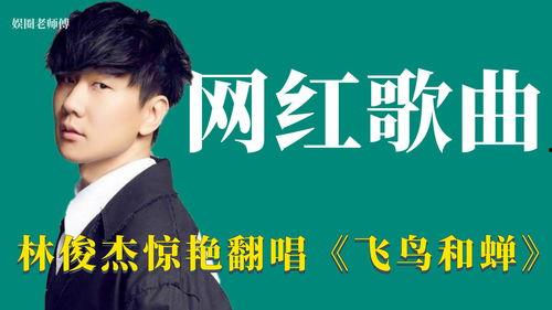 明星网红改编歌曲视频,明星同框演绎新潮流