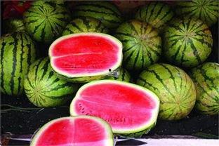 今日吃瓜最忌讳什么食物