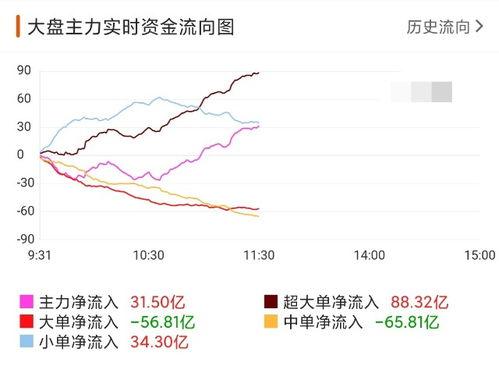 今日嫩瓜价格行情走势分析,洞察市场趋势与投资策略