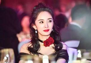 明星网红回顾经历视频大全