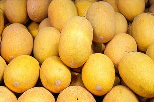 蚌埠哈密瓜多少钱一斤今日价格,一斤多少钱？”