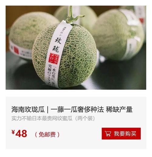 海南二瓜今日价格行情,涨跌波动，市场动态一览