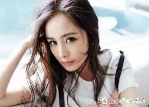 合影明星网红排名榜,揭秘人气巅峰