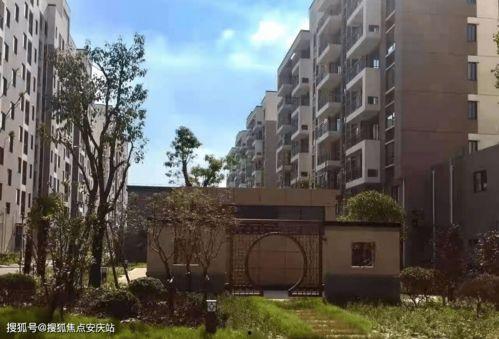 铁瓜今日行情最新消息,今日最新价格动态一览