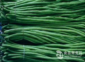 义县今日角瓜价格