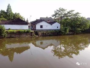 今日海宁许村的瓜,海宁特色瓜果的甜蜜诱惑”