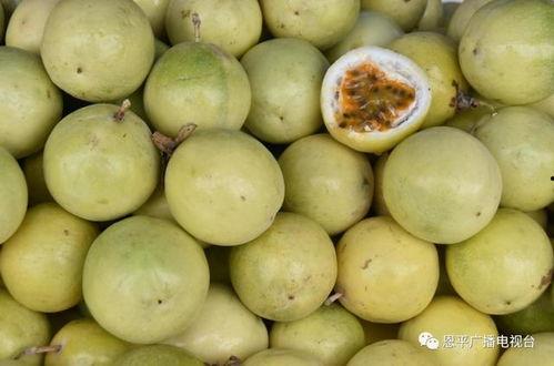 热门话题今日热搜八月瓜,揭秘热搜背后的热点事件与话题