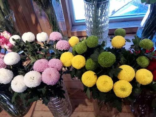 热门话题今日热搜八月瓜,揭秘热搜背后的热点事件与话题