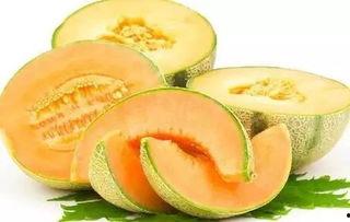 今日甜瓜哈密瓜价格行情,甜瓜市场动态一览
